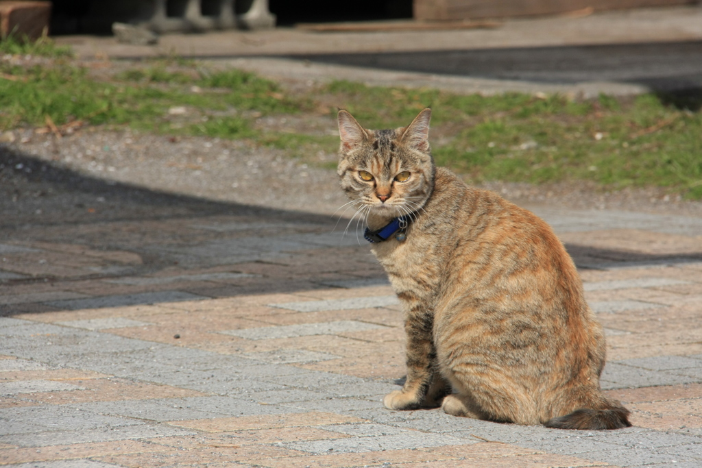 ん～誰だおまえ