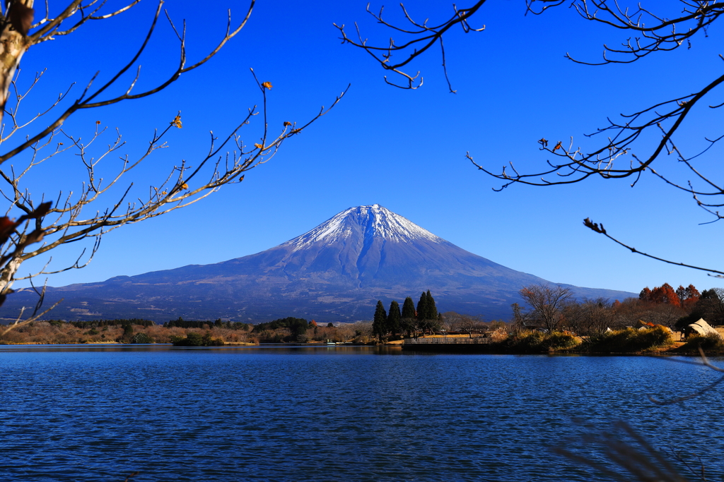 晩秋の富士