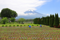 お疲れ様です、また見に来ます。