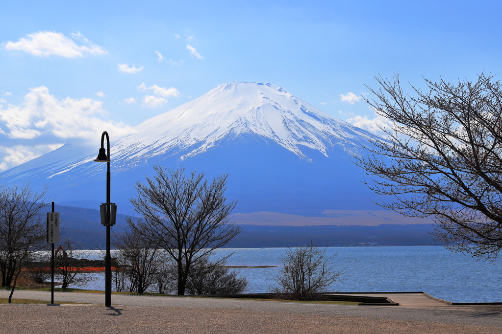 春の湖畔