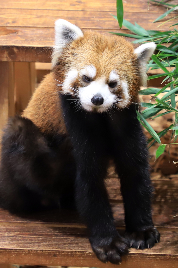 手？長！！。っていうか、疲れちゃって。
