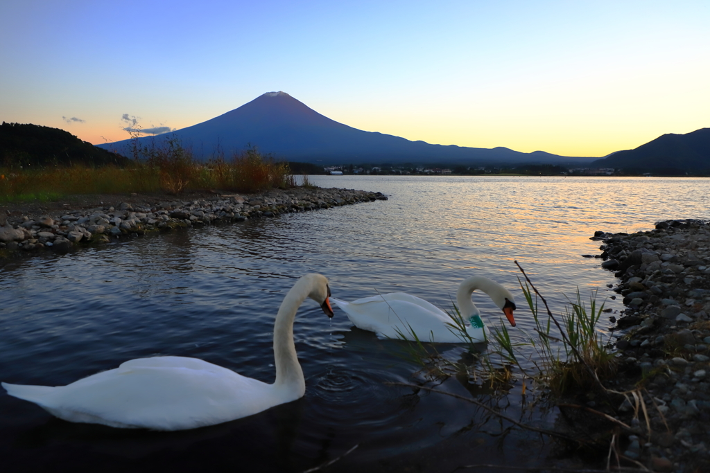 湖畔の夕暮れ