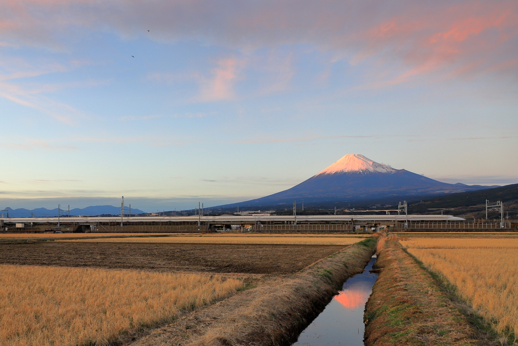 皆様、良いお年を！　2