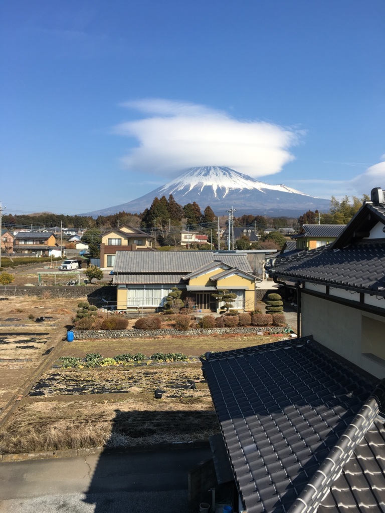 こんなに晴れているのに明日は雨かぁ。