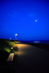 浜辺の月