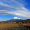 現場報告～らしくなった富士