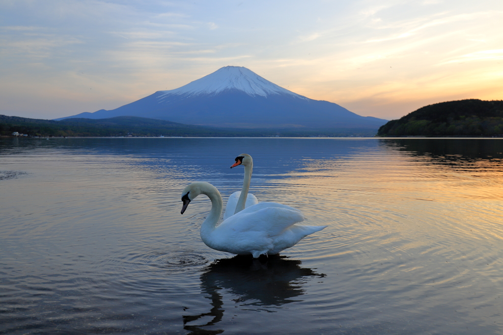 山中湖にて　Ⅱ