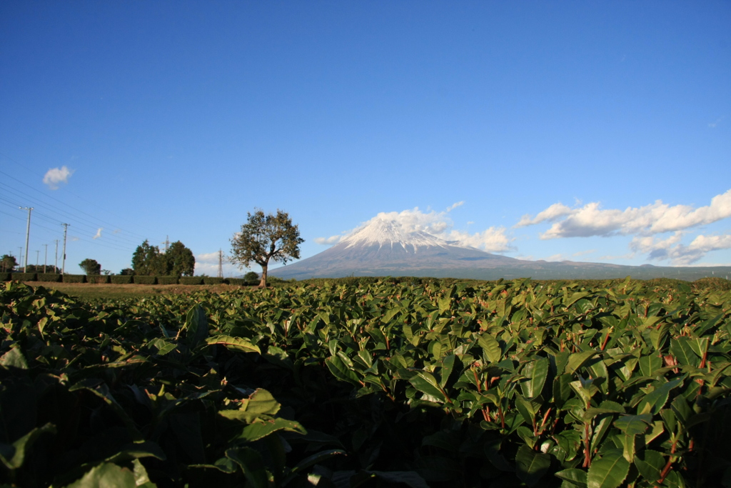 秋の富士山景　6