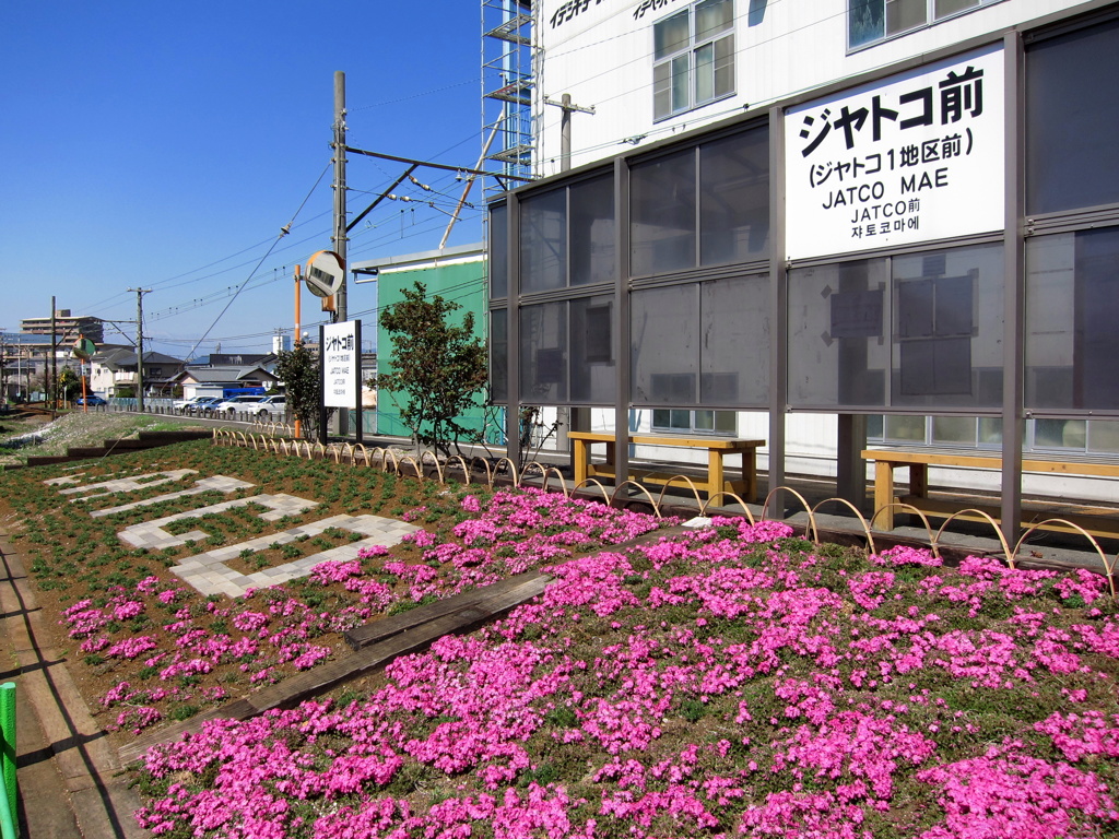 岳南電車をポタリング　9
