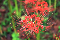 情熱