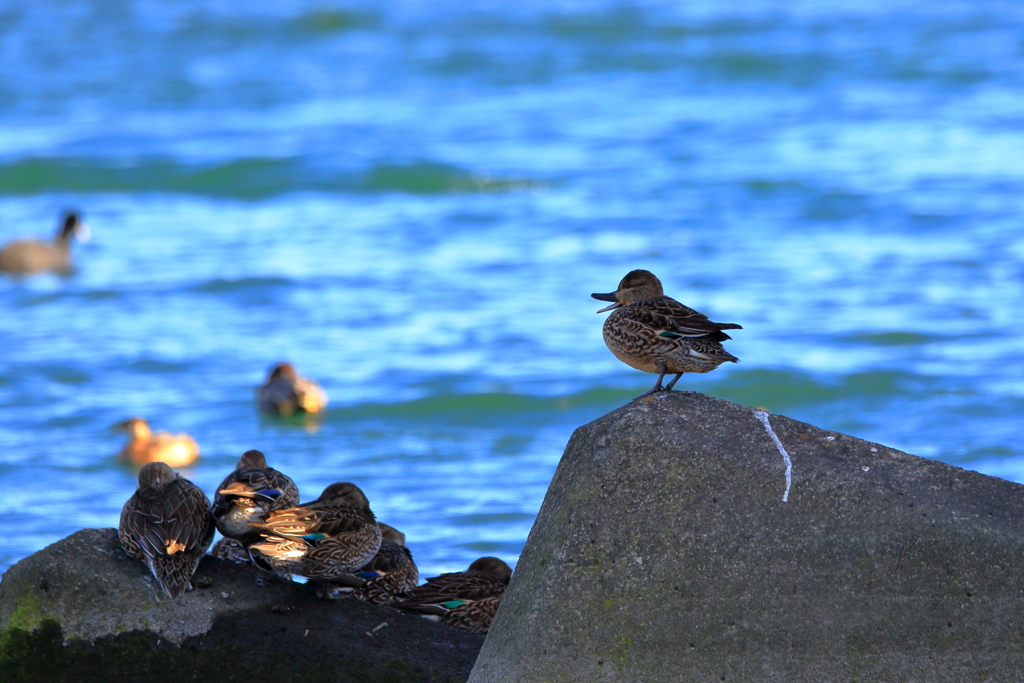 ちょっと、聞いてよ！。