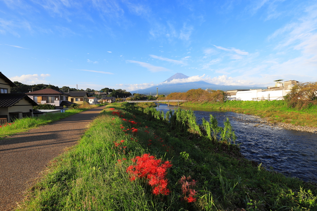 秋の龍巌淵