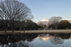 ２月　公園　富士　3
