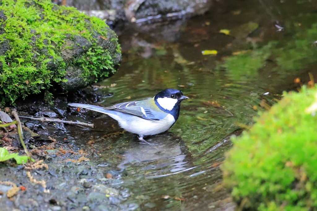 今日暑くてさぁ！。