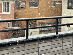 雪降るの何年ぶり？