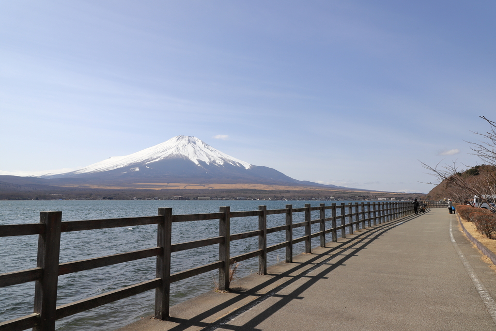 山中湖　長池親水公園より