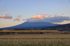 ラスト・イエロー