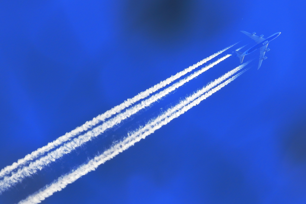 見上げれば　NCA