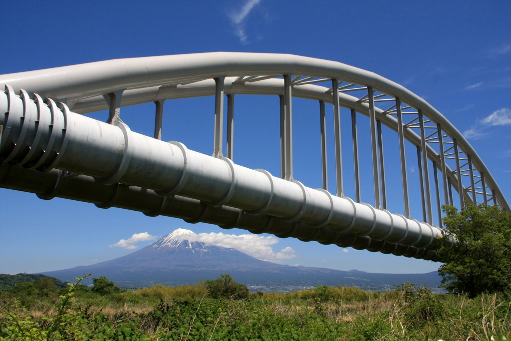 五月の富士川河川敷　６