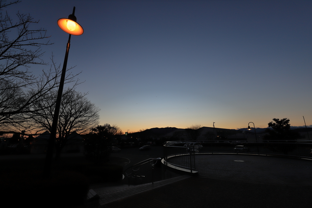 ２月　公園　夕景　2