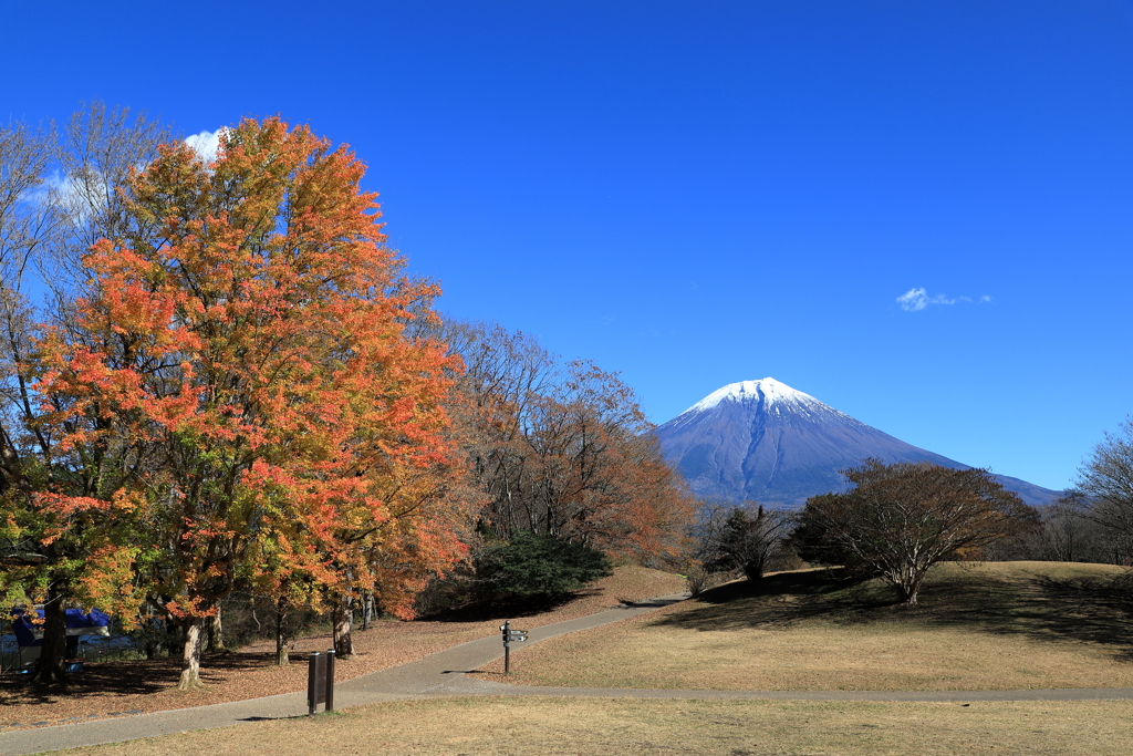 田貫湖、秋景4