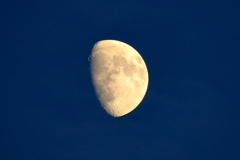 The Dark Side Of The Moon