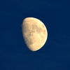 The Dark Side Of The Moon