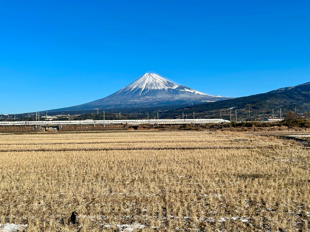 雪が降った割には、、、。2