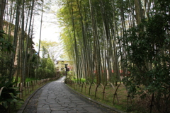 修善寺景　１０