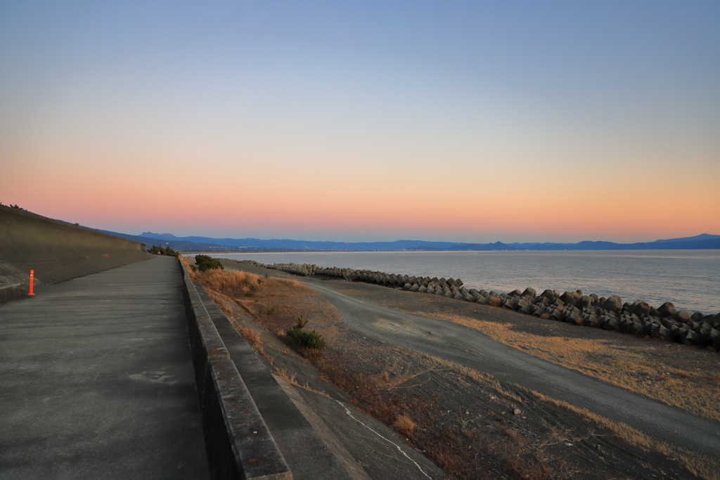 ビーナスベルト