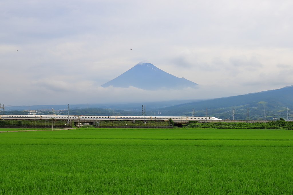 富士とトンボと新幹線