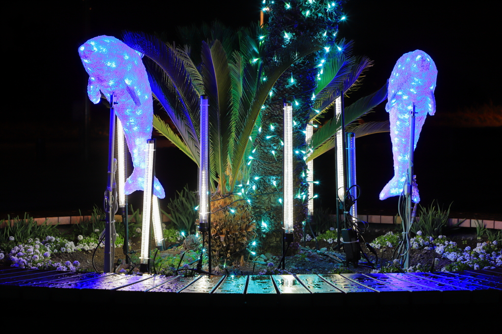 田子の浦港イルミネーション　2025　2