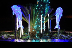 田子の浦港イルミネーション　2025　2