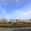 桜ロータリー