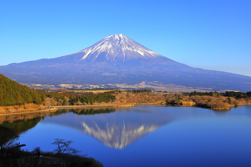 田貫湖展望台より