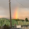 信号待ちで虹 1