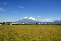 五月の富士川河川敷　１