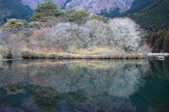 新年の田貫湖　3