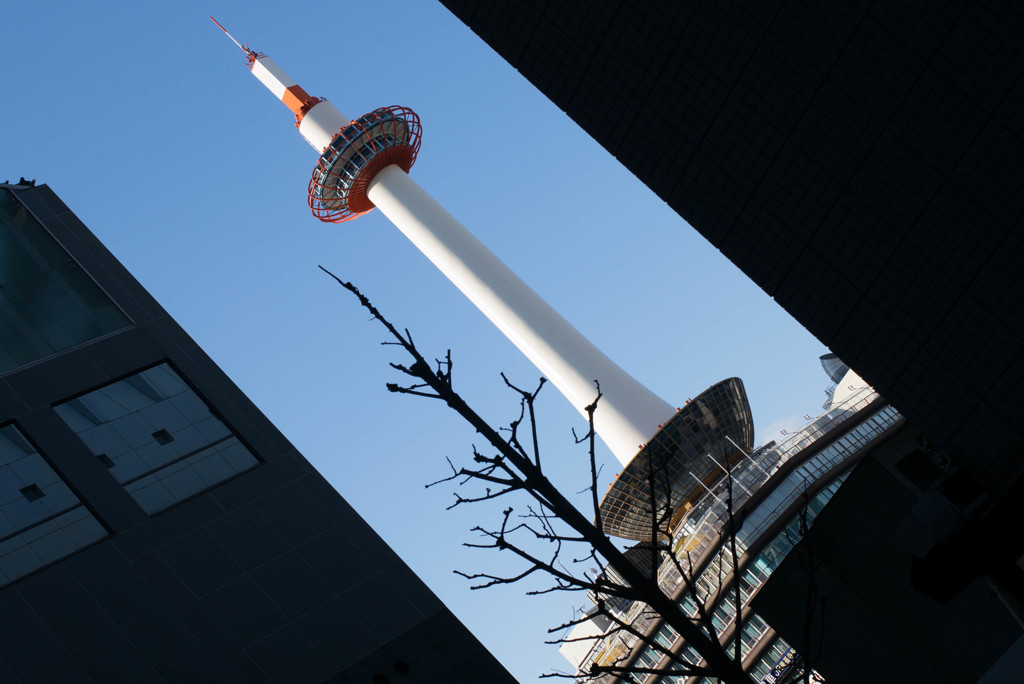 どう観ても・・・