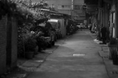路地