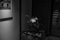 一歩前へ