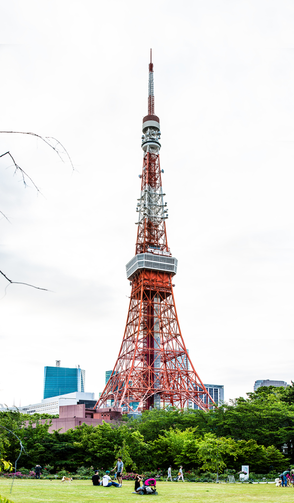 シンボル