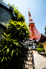 シンボル