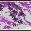 「紅葉の・・アレンジ画像・・」 ・・・・・