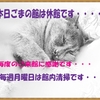 「休館案内・・」・・・・・