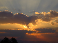 本日の・・「夕景」・・・・