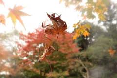浮いています・・・・・
