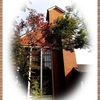 「museum・・・」 ・・・・・