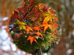 「覗き見」です・・・・・