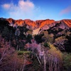 紅葉の金精峠　夕景